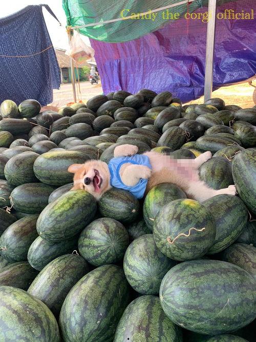 今天吃瓜,盘点娱乐圈新鲜事