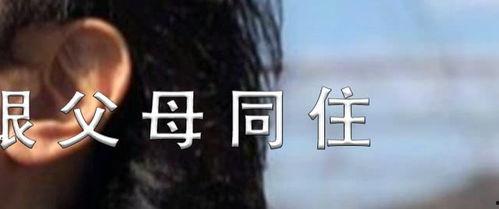 吃瓜娱乐圈说说,揭秘明星幕后故事