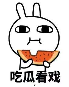 娱乐圈吃瓜系统沙雕动画,沙雕动画里的欢乐与泪点