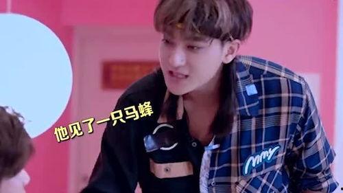 鹿晗娱乐吃瓜是真的吗,真相揭秘还是网络谣言?